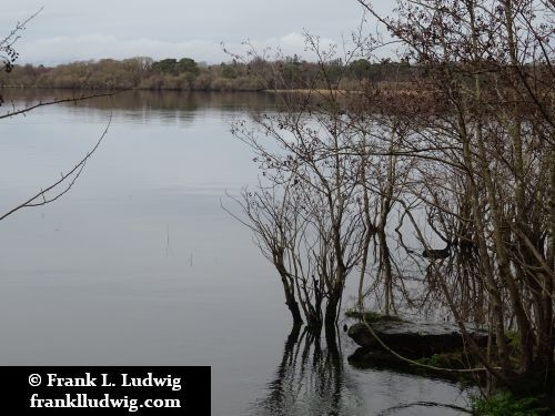 Lough Leane